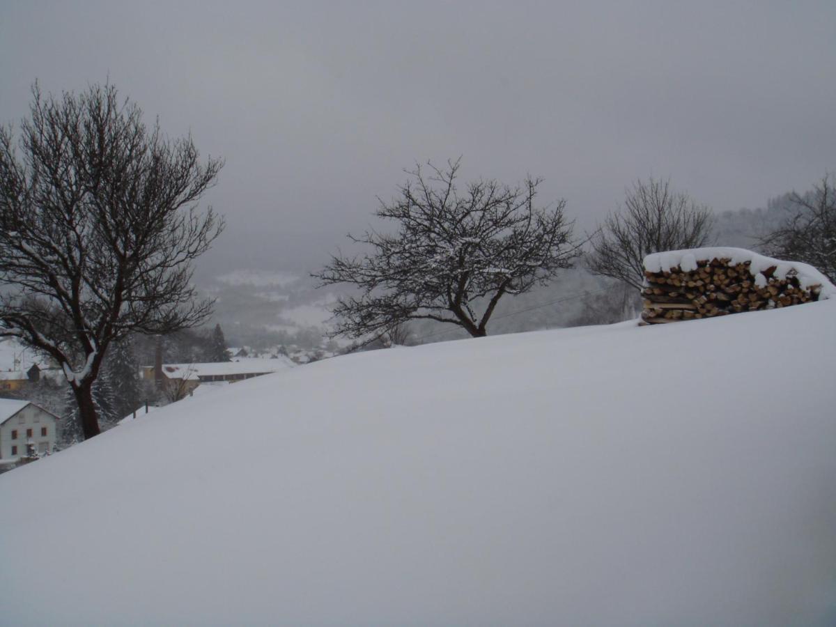 Gite De Famille Dans Les Vosges Saint-Maurice-sur-Moselle Exterior foto